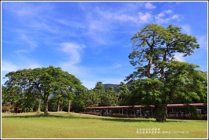 兆豐休閒農場(渡假村)-2019-08-30.jpg