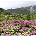 大賞園繡球花(竹子湖)-2019-05-45.jpg