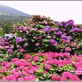 大賞園繡球花(竹子湖)-2019-05-51.jpg