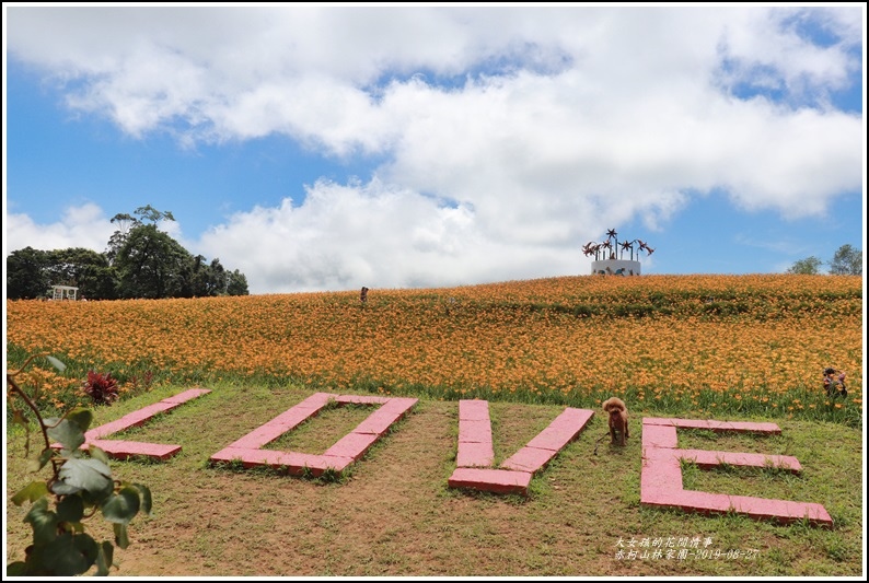 赤柯山林家園-2019-08-01.jpg