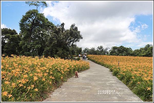 赤柯山林家園-2019-08-07.jpg