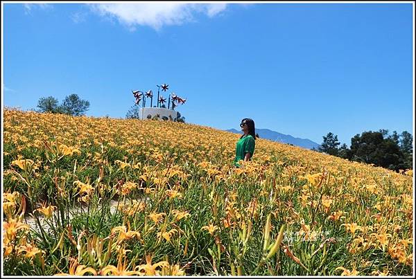 赤柯山林家園-2019-08-09.jpg