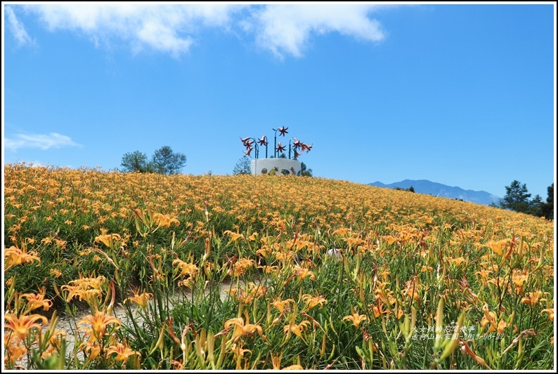 赤柯山林家園-2019-08-41.jpg