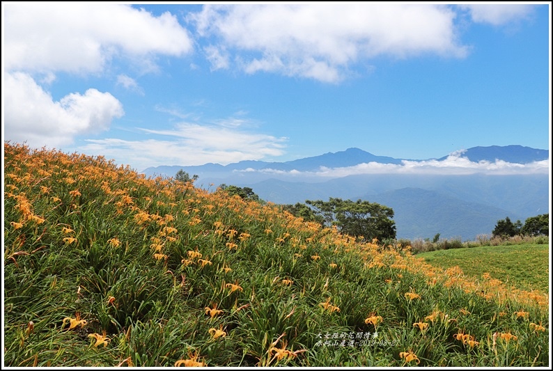 赤柯山萱草居-2019-08-03.jpg