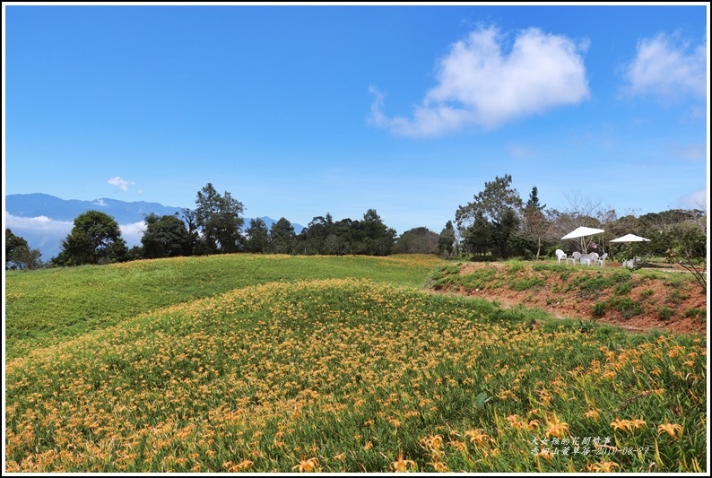 赤柯山萱草居-2019-08-05.jpg