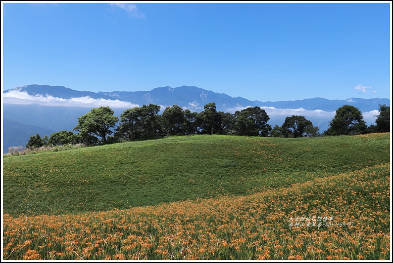 赤柯山萱草居-2019-08-06.jpg