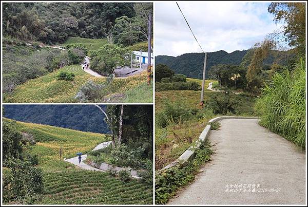 赤柯山千年石龜-2019-08-01.jpg