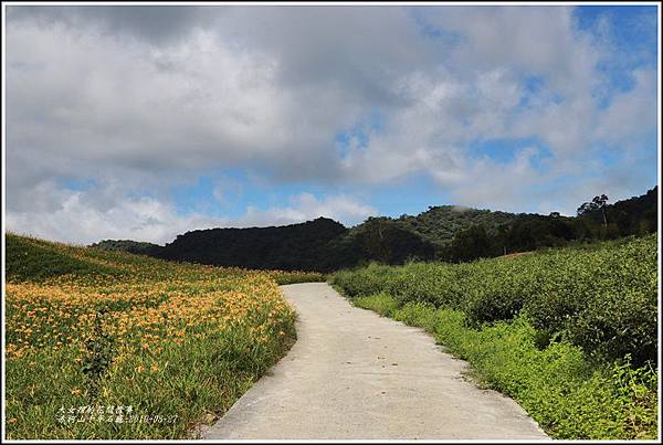 赤柯山千年石龜-2019-08-06.jpg