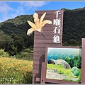 赤柯山千年石龜-2019-08-09.jpg