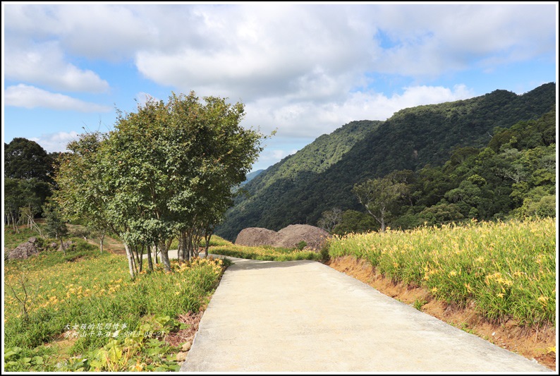 赤柯山千年石龜-2019-08-10.jpg