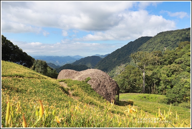 赤柯山金針花季,小瑞士農場,六十石山,天心茶園,千年石龜,赤柯山神木,花蓮山區,2019年赤柯山金針花季,花蓮景點,赤柯山,金針花,小百岳,神木,雲海,森林,湖泊,花海