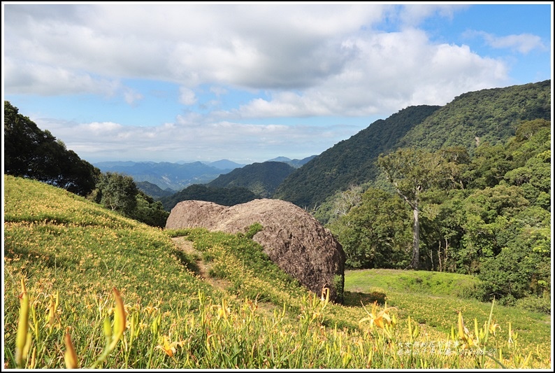 ,2019年赤柯山金針花季,花蓮景點,赤柯山,金針花,小百岳,神木,雲海,森林,湖泊,花海,打卡,