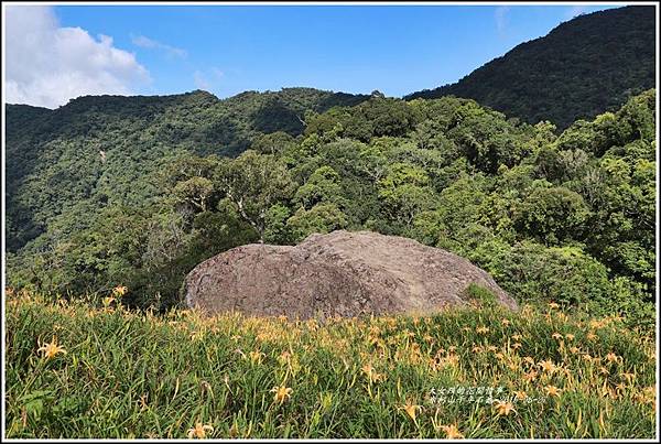 赤柯山千年石龜-2019-08-13.jpg