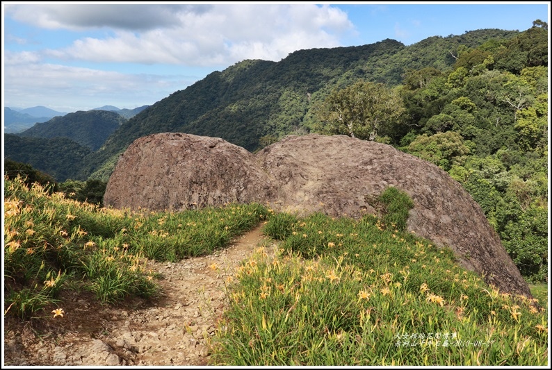 赤柯山千年石龜-2019-08-14.jpg