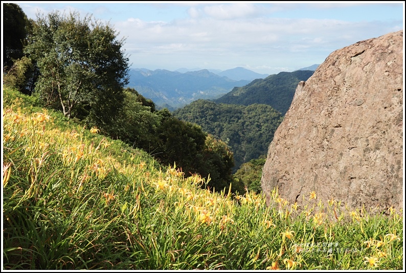 赤柯山千年石龜-2019-08-16.jpg