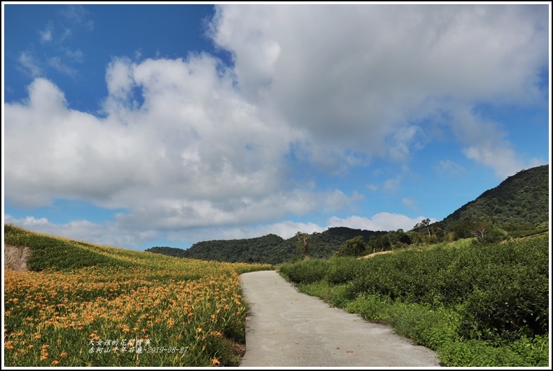 赤柯山千年石龜-2019-08-21.jpg