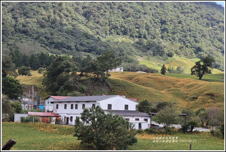 赤柯山千年石龜-2019-08-30.jpg