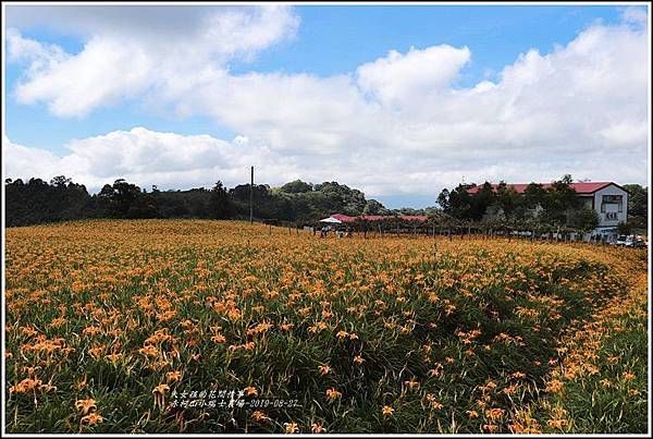 赤柯山小瑞士農場-2019-08-02.jpg