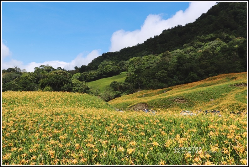 赤柯山小瑞士農場-2019-08-05.jpg