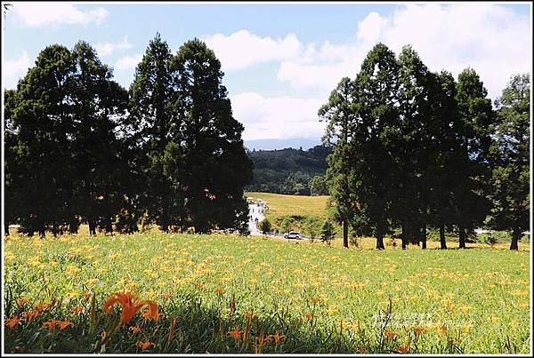 赤柯山小瑞士農場-2019-08-11.jpg