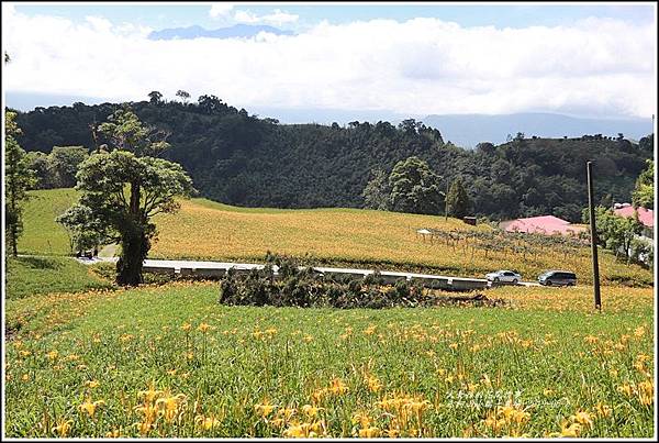 赤柯山小瑞士農場-2019-08-18.jpg