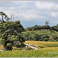 赤柯山小瑞士農場-2019-08-19.jpg