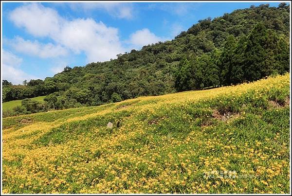 赤柯山小瑞士農場-2019-08-21.jpg