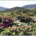 竹子湖高家繡球花(第二園區)-2019-05-10.jpg