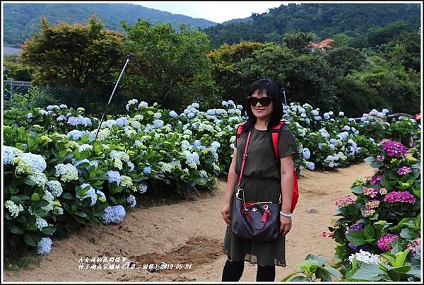 竹子湖高家繡球花(第二園區)-2019-05-18.jpg