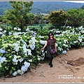 竹子湖高家繡球花(第二園區)-2019-05-19.jpg