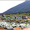 竹子湖高家繡球花(第二園區)-2019-05-26.jpg