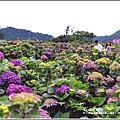 竹子湖高家繡球花(第二園區)-2019-05-32.jpg