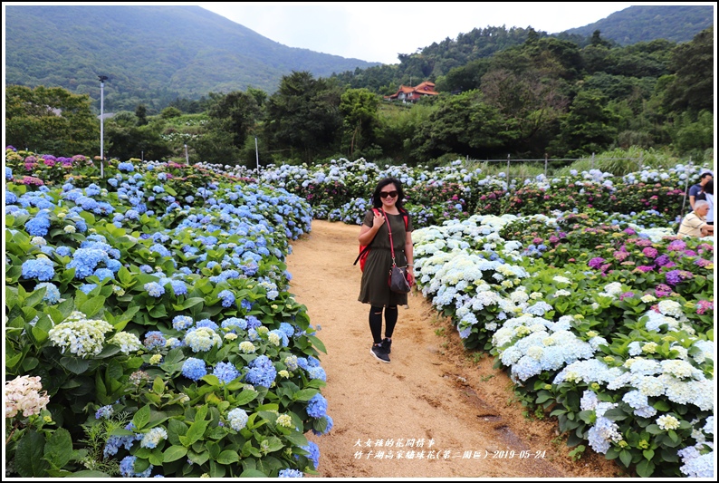 竹子湖高家繡球花(第二園區)-2019-05-40.jpg