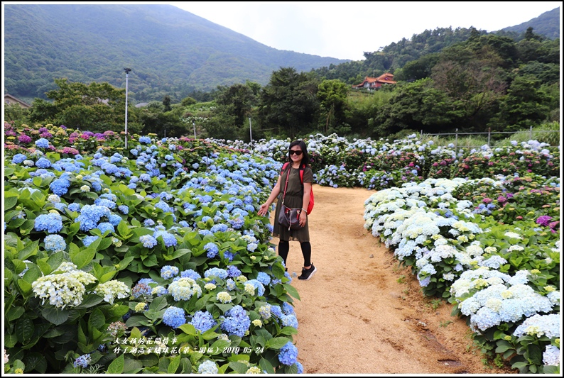 竹子湖高家繡球花(第二園區)-2019-05-41.jpg