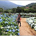 竹子湖高家繡球花(第二園區)-2019-05-41.jpg