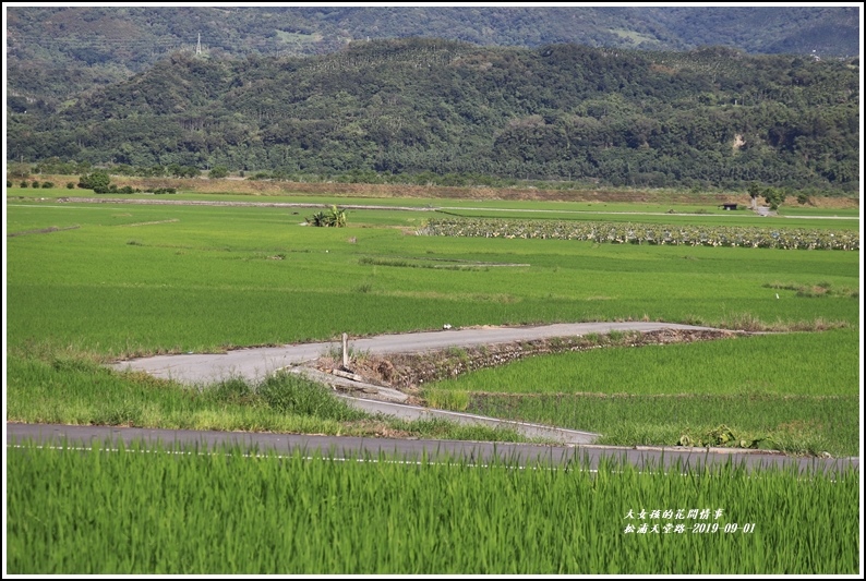 松浦天堂路-2019-09-09.jpg