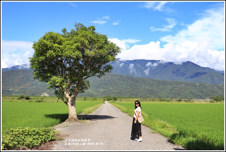 ,花蓮景點,花蓮193公路,樂德公路,重機,