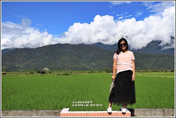 花蓮193金城武樹-2019-09-09.jpg