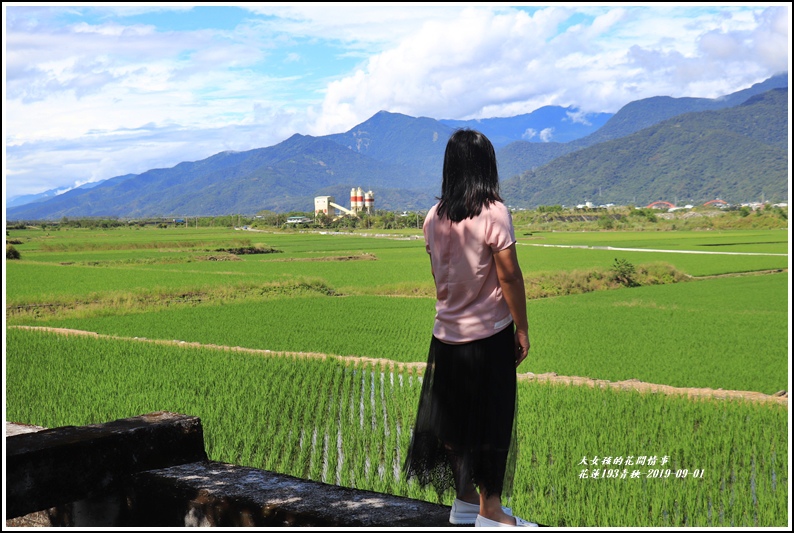 花蓮193青秧-2019-09-27.jpg 花蓮193青秧-2019-09-27.jpg