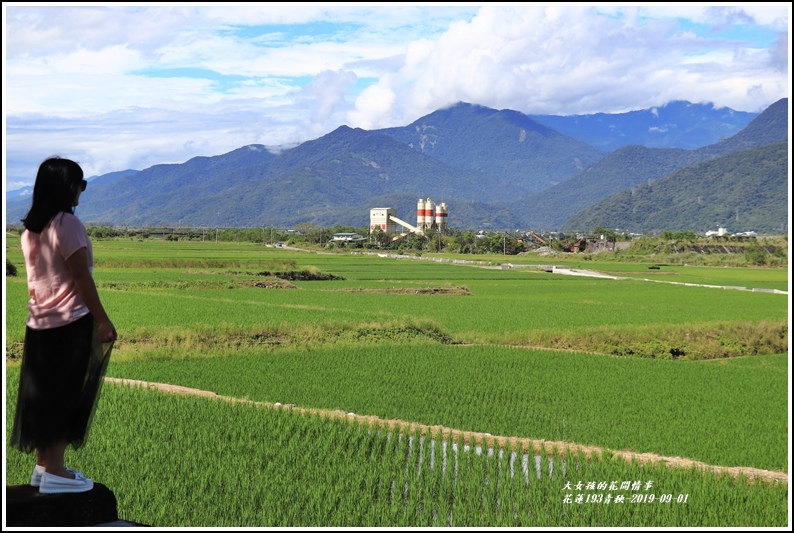 花蓮193青秧-2019-09-28.jpg 花蓮193青秧-2019-09-28.jpg