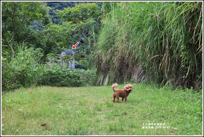 南安鹿鳴吊橋-2019-09-06.jpg