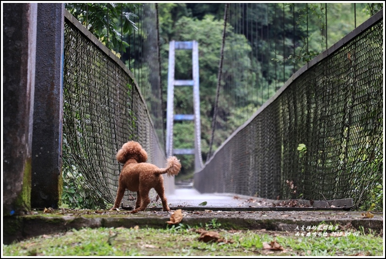 南安鹿鳴吊橋-2019-09-26.jpg