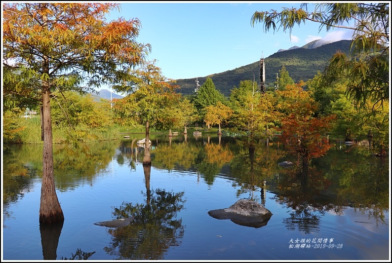 松湖驛站,景觀餐廳,落羽松,生態池,花蓮吉安,露天座椅,拿鐵,花蓮,吉安,台灣欒樹,台9線