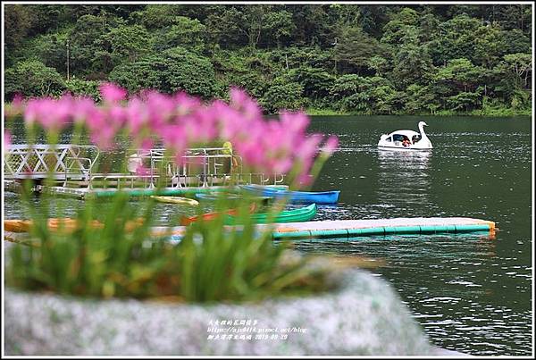 花蓮鯉魚潭潭北碼頭-2019-09-19.jpg