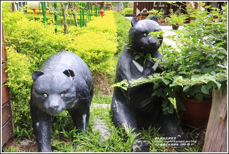 玉山緣櫻花休閒園區-2019-09-16.jpg