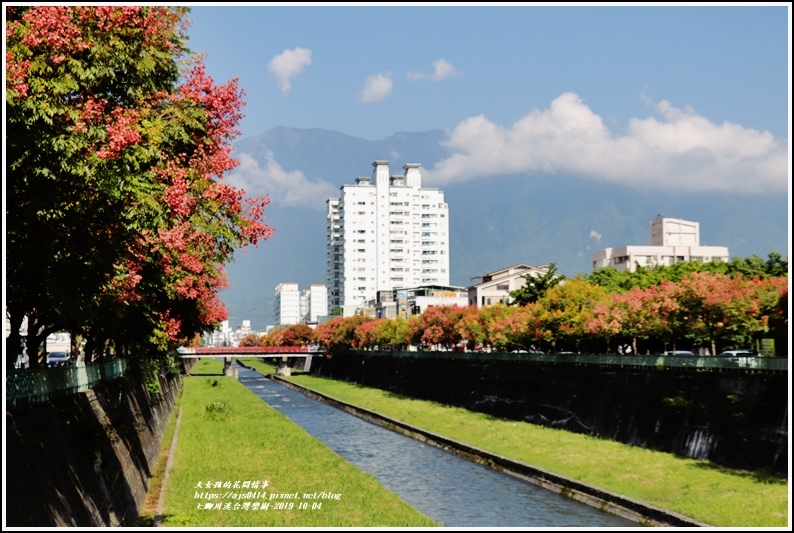 七腳川溪台灣欒樹-2019-10-04.jpg