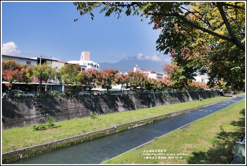 七腳川溪台灣欒樹-2019-10-01.jpg