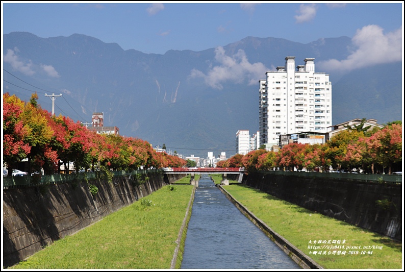 台灣欒樹,四色樹,七腳川溪,仁里橋,吉安溪,南濱公園,花蓮旅遊,花蓮,彩色樹