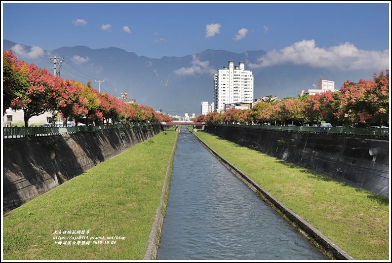 七腳川溪台灣欒樹-2019-10-07.jpg