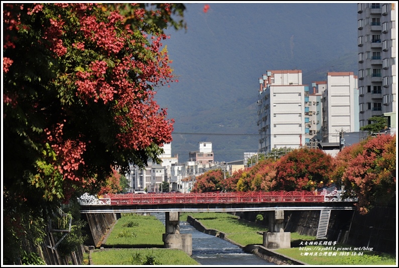 七腳川溪台灣欒樹-2019-10-05.jpg